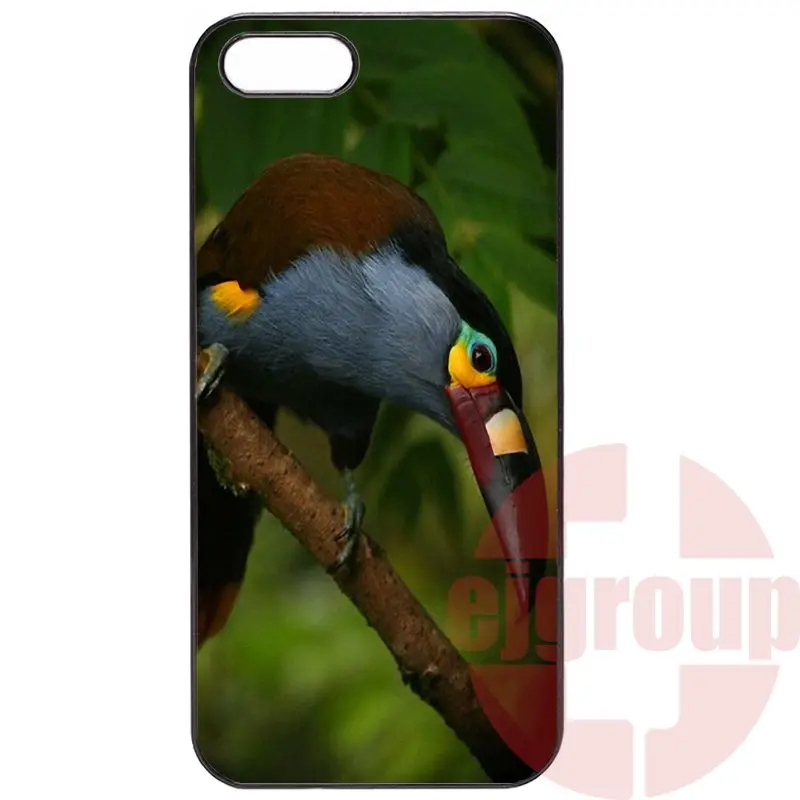For Meizu MX4 MX5 Pro 6 m1 m2 m3 note OnePlus 1+ Two X 3 Painting Black Skin tropical toucans | Mobile Phone Cases &amp Covers