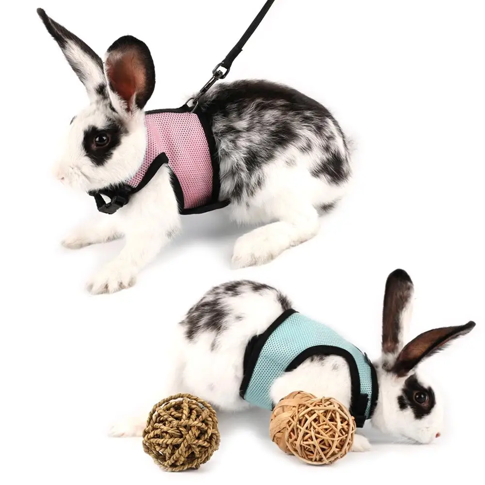 Кролик Хомяк Жилет Жгут поводок кролик сетка нагрудный ремень маленькие
