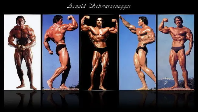 04 постер Арнольда Шварценеггера-Бодибилдинг Mr Olympia Universe 25x14 дюймов | Дом и сад
