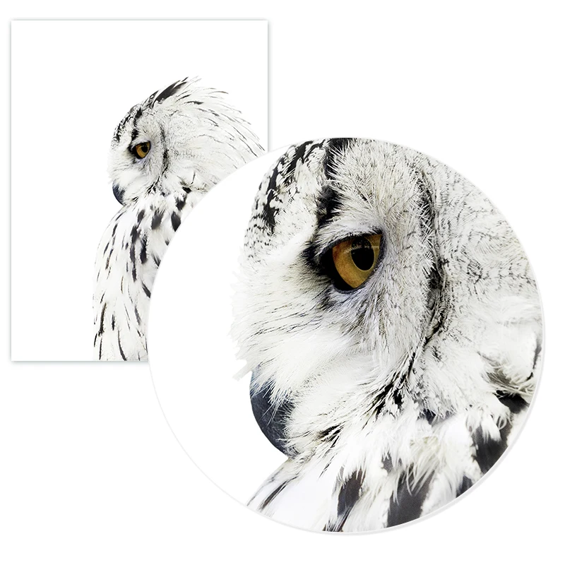 Плакаты и принты 900D настенная Картина на холсте настенные картины для гостиной