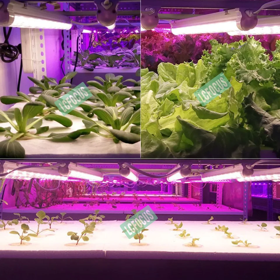 Светодиодная лампа для выращивания растений 45 Вт 600 265 нм|full spectrum|full spectrum growfull grow led