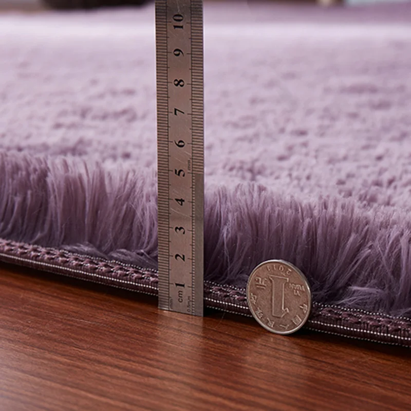Silky Fluffy Carpet - Modern Home Decor - Long Plush Shaggy Rug - Children's Play Mats - Sofa Living Bedroom Bedside Mat - Balcony Carpets image 5