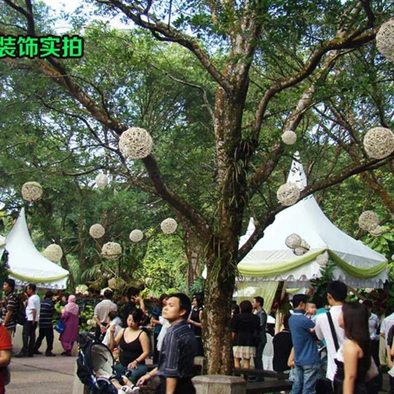 12 шт. плетеные игрушки в виде попугаев 7 см | Дом и сад