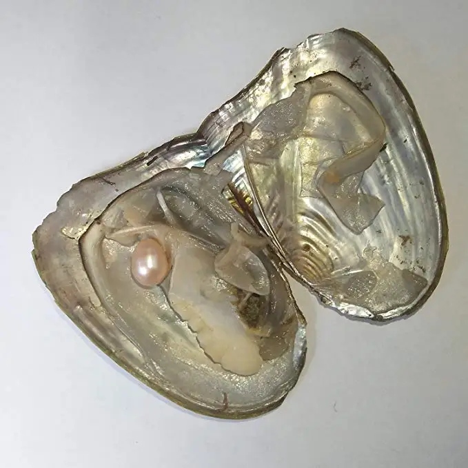 HENGSHENG 10 штук Пресноводный Культивированный Жемчуг Oyster 7-8 мм овальный жемчуг Oysters