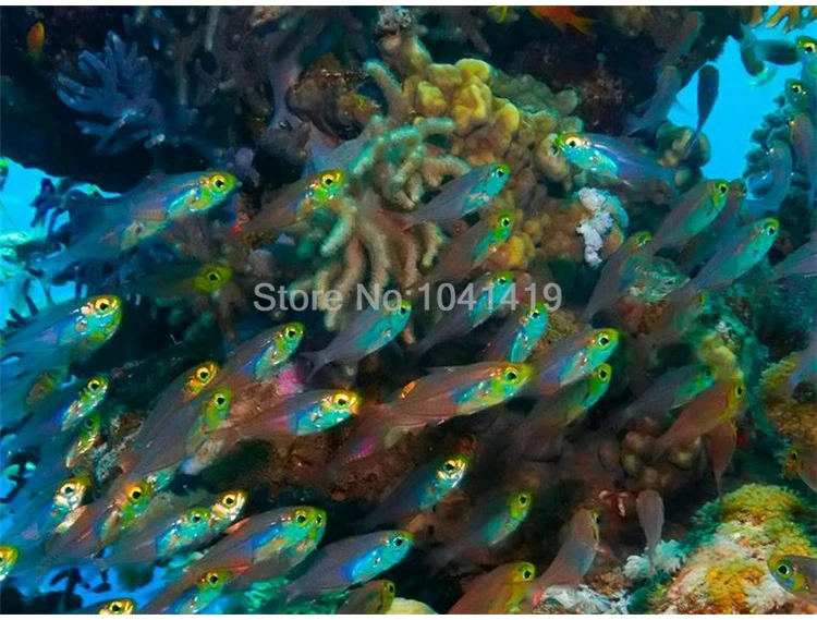 ПВХ самоклеющиеся водонепроницаемые обои для пола 3D подводный мир художественный Настил Плитка Настенная Ванная комната Декор для кухни 3 D наклейки