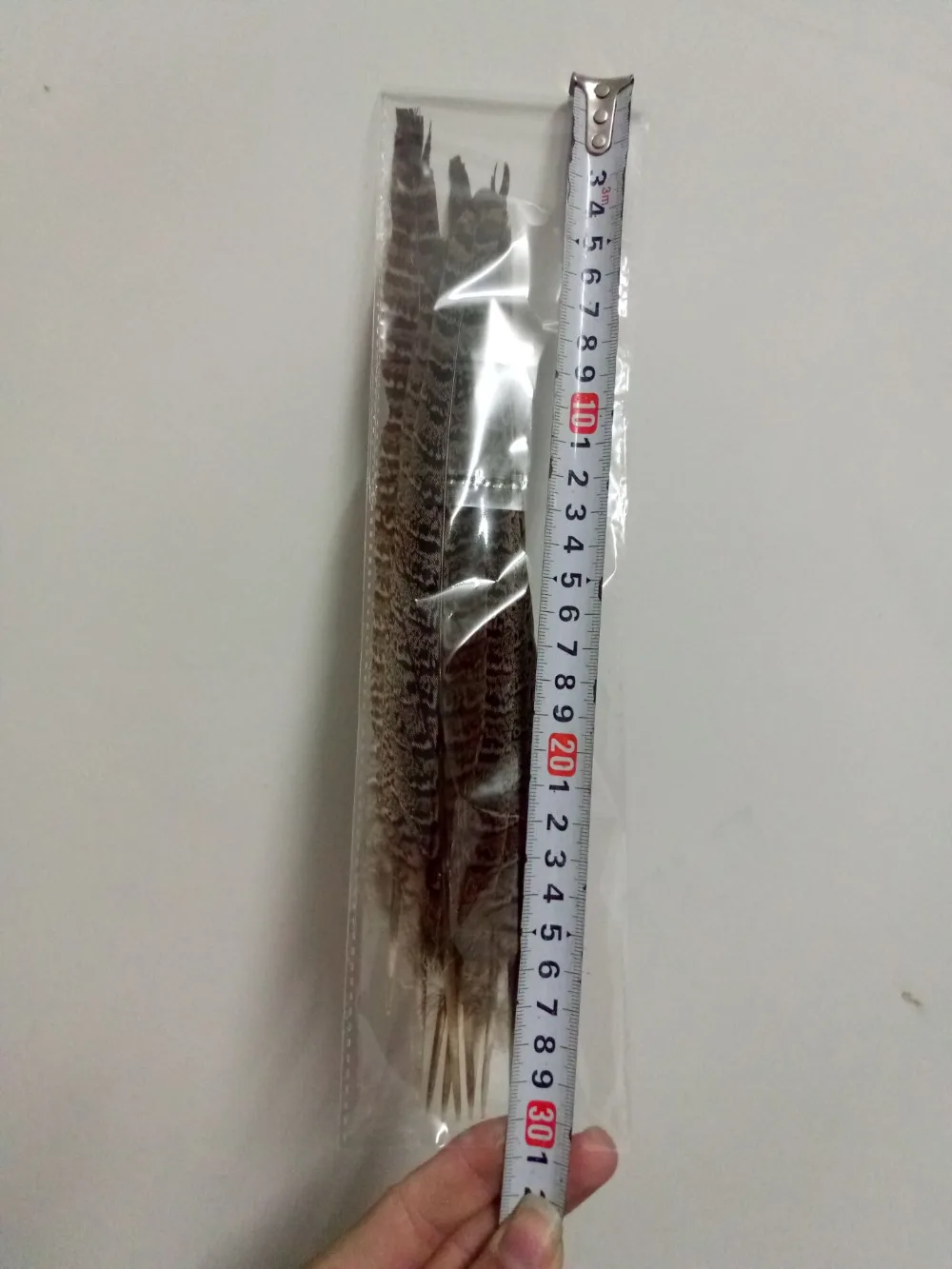 10 pieces of high quality natural pheasant feathers 25-30cm DIY handicrafts decorative accessories | Дом и сад