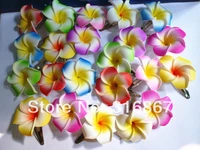 40 mixed color foam hawaiian plumeria flower frangipani flower bridal hair clip 4 5cm