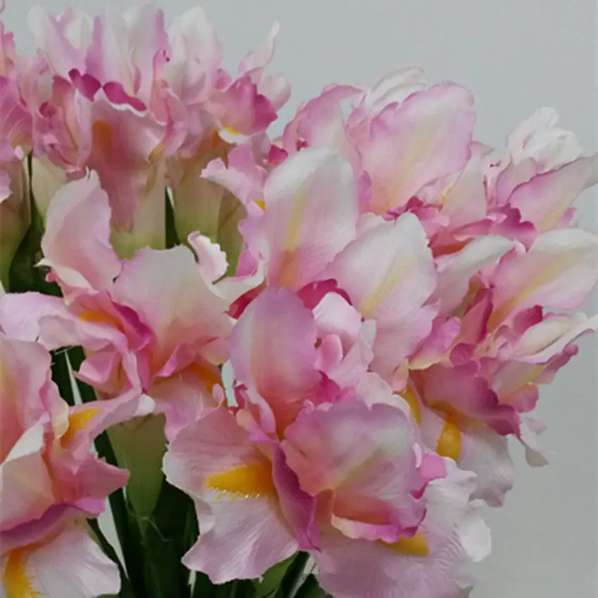 5 шт. искусственный ирландский Цветок ириса для осени принадлежность свадебного