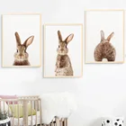 Настенная Картина на холсте кавайный кролик животные скандинавские постеры и принты зайчик фотография для гостиной детской комнаты
