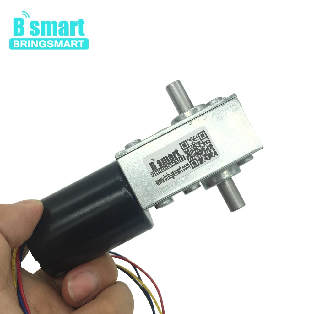 Bringsmart 5840 3650 бесщеточный двойной вал 12В 24В DC турбо червячный редуктор мини