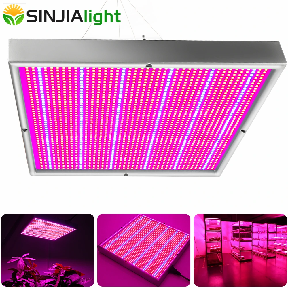 

200W LED Grow Light Panel Plant Growing Lamp Red+Blue Phytolamp for Flower Indoor Plants Hydroponics Vegs grow tent greenhouse