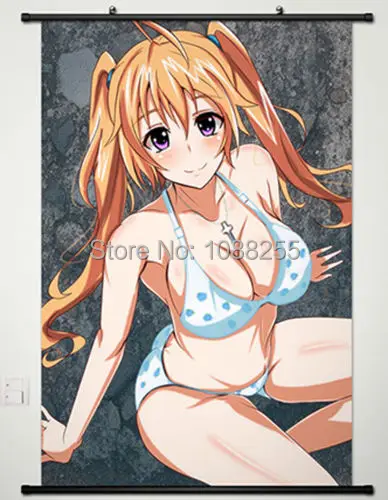 Домашний декор аниме стены прокрутки постер средней школы DXD новая Irina Shidou | Дом и