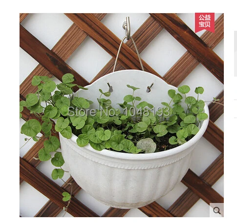 Крючок V из нержавеющей стали для садоводства настенный цветочный горшок дома