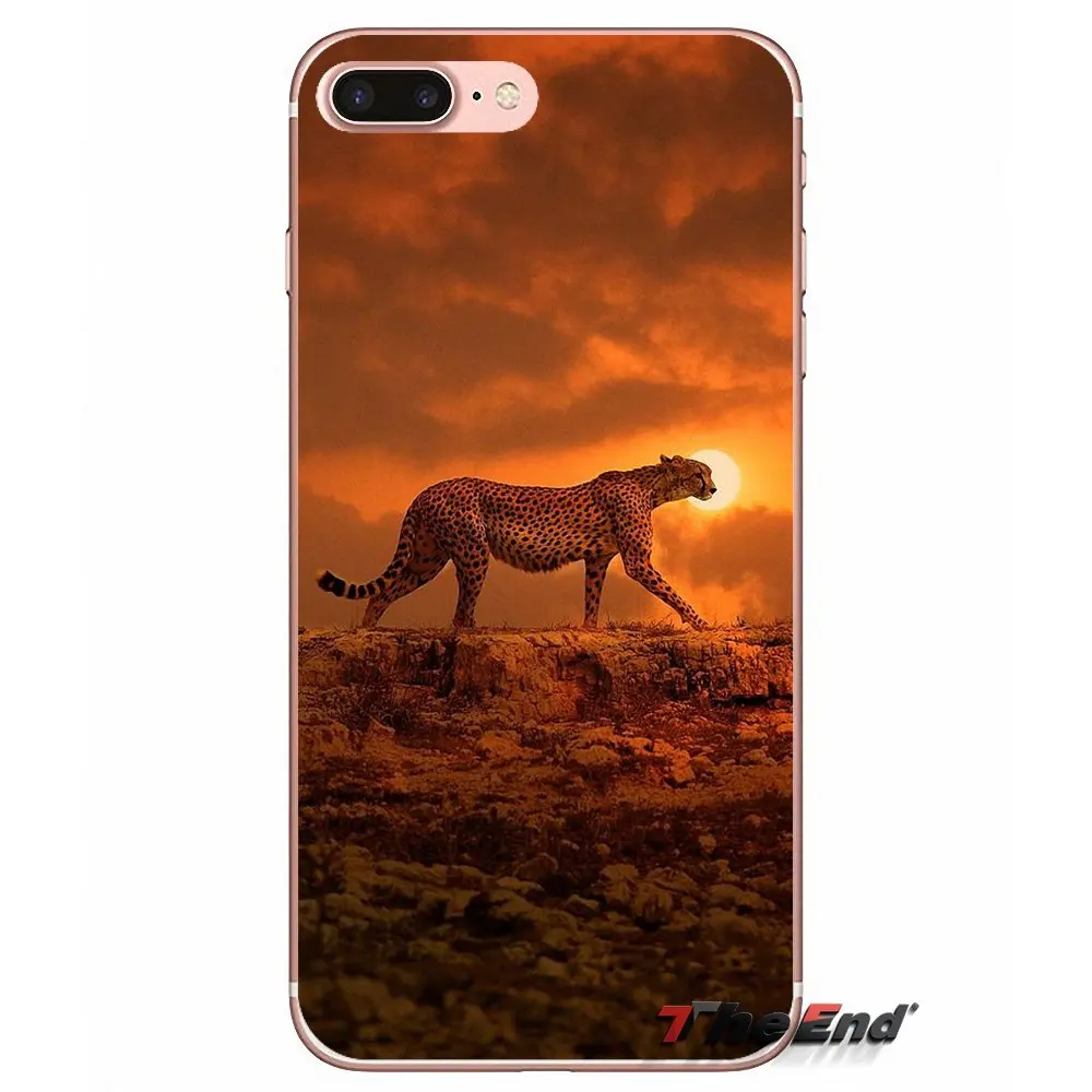 Мягкий чехол для iPhone X 4 4S 5 5S 5C SE 6 6S 7 8 Plus Samsung Galaxy J1 J3 J5 J7 A3 A5 2016 2017 Baby Cheetah Full Speed Sunset|case