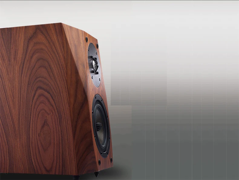 CAV FL-35 Hi-Fi динамик проводной книжная полка динамик s дерево HIFI коробки вентилируемая коробка 2way Eton твитер Средний бас Высокоточный динамик s