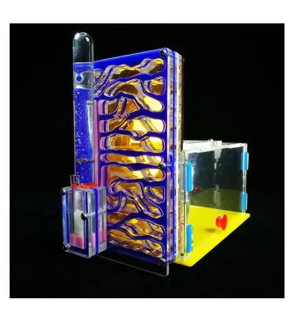 Ant Nest Pet Home Workshop акриловый City B1 студенческий образовательный DIY игрушки научный