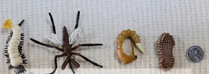 Фигурка из ПВХ модель моделирования игрушка комаров набор жизненных циклов |