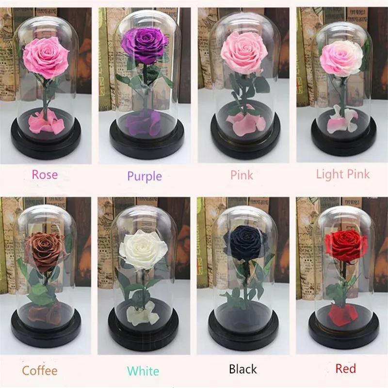 Консервированная бесморская свежая роза в стеклянной вазе Клош навсегда цветок