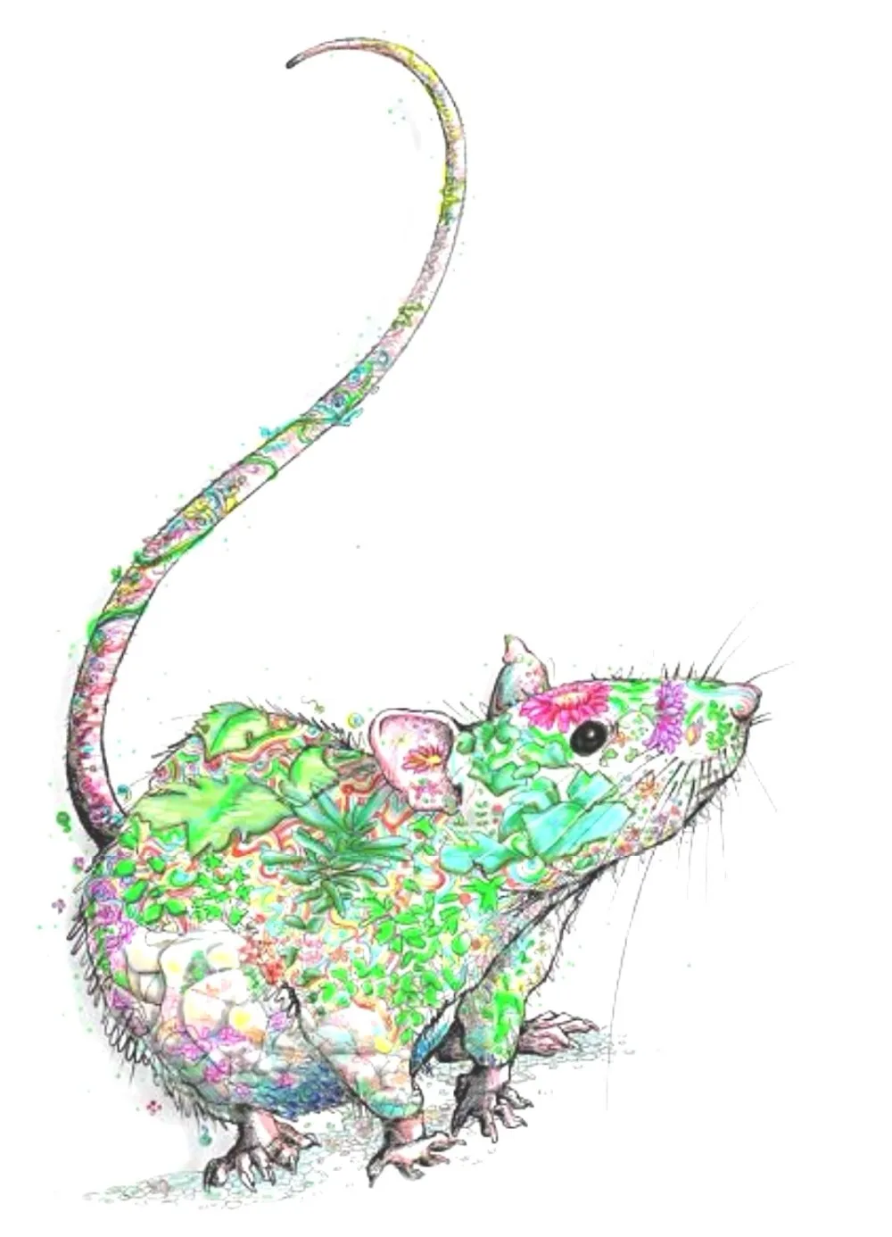 New 5D DIY Diamond Art Animal Phoenix Bird Mouse Seahorse Reindeer Cross Stitch Crystal Full Rhinestone Embroidery RF864 | Дом и сад