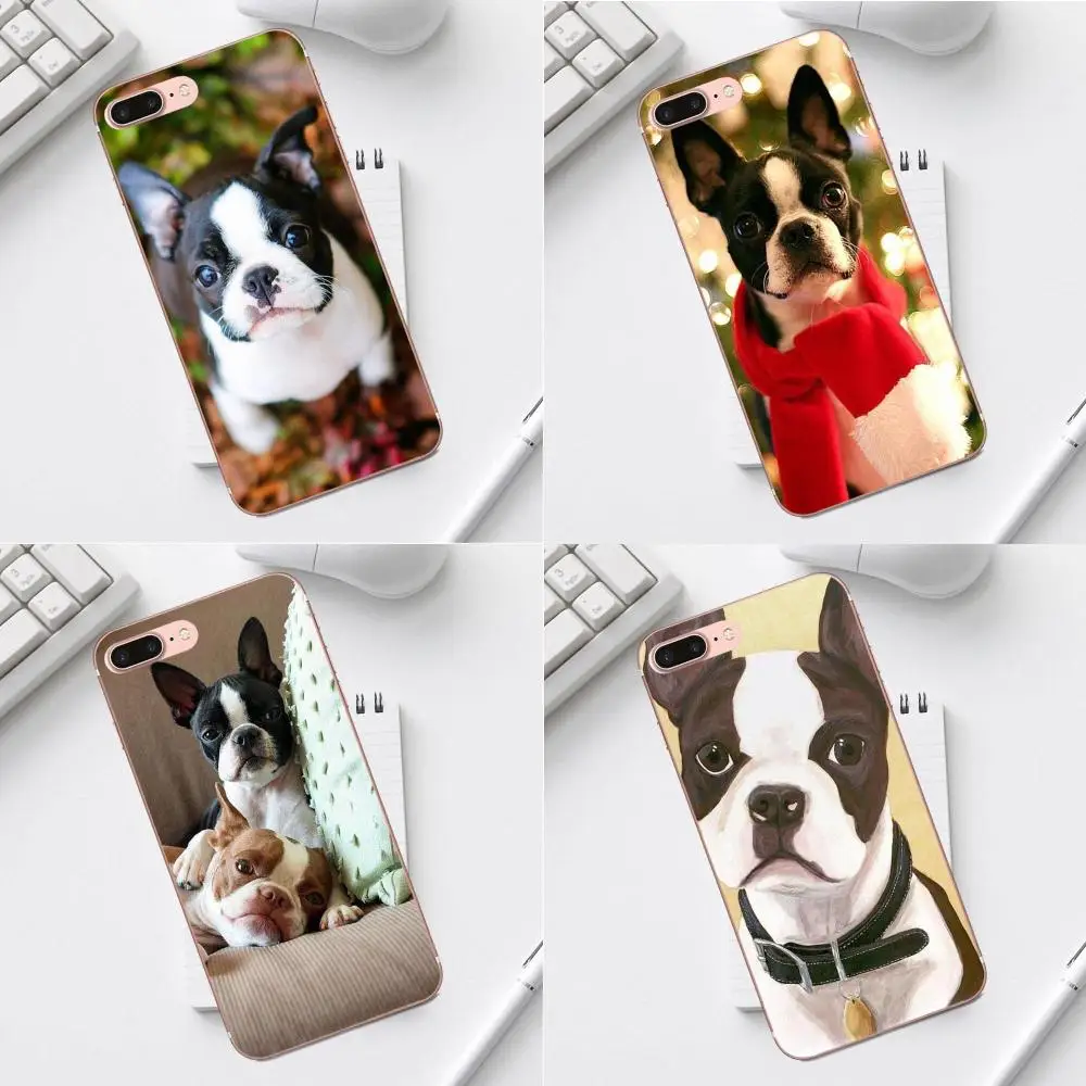 Для iPhone X XS Max XR 4 4S 5 5C SE 6 6S 7 8 Plus Galaxy A3 A5 J1 J3 J5 J7 2017 Мягкий ТПУ популярный Бостон терьер