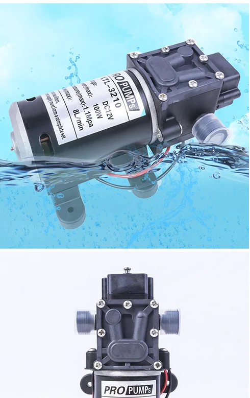 Электрический 12V 24V 100 Вт высокой мощности Давление самогрунтовой водный насос Давление переключатель обратный клапан Тип для разливочная машина