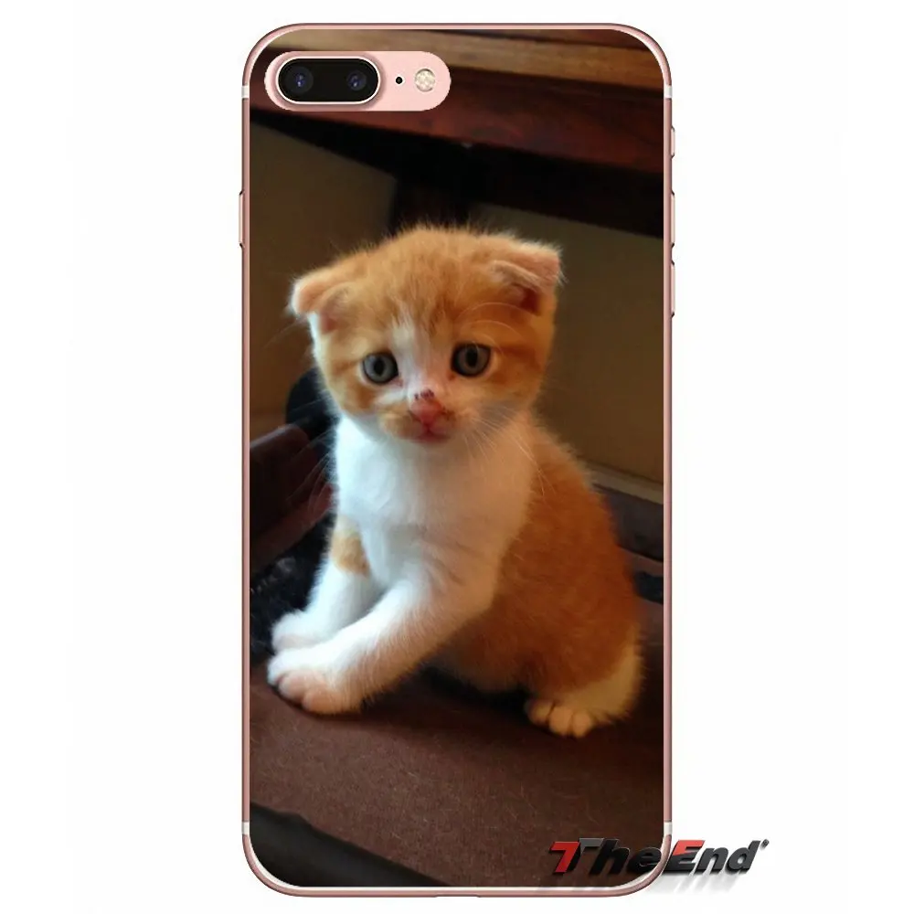 Мягкий чехол для Samsung Galaxy S3 S4 S5 MINI S6 S7 edge S8 Plus Note 2 3 4 5 Grand Core Prime Scottish fold cat Felis catus|case