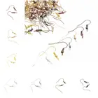 MIAOCHI фурнитура для ювелирных изделий, Diy 20*18 мм золотосеребробронзасеребро тон Крест Стиль Серьги Крючки для изготовления ювелирных изделий