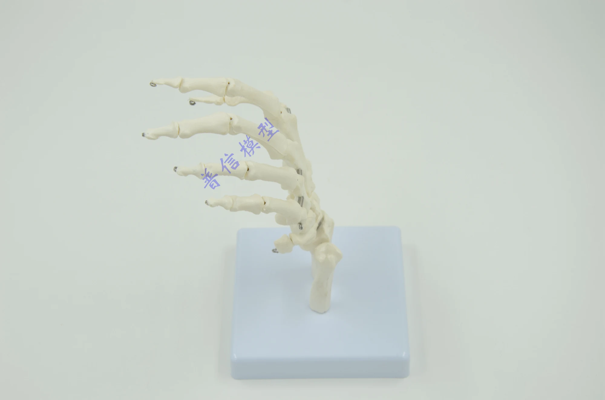 Hand Joint Model Wrist Medical Treatment Ligament Bone School Hospital Educational Supplies | Канцтовары для офиса и дома