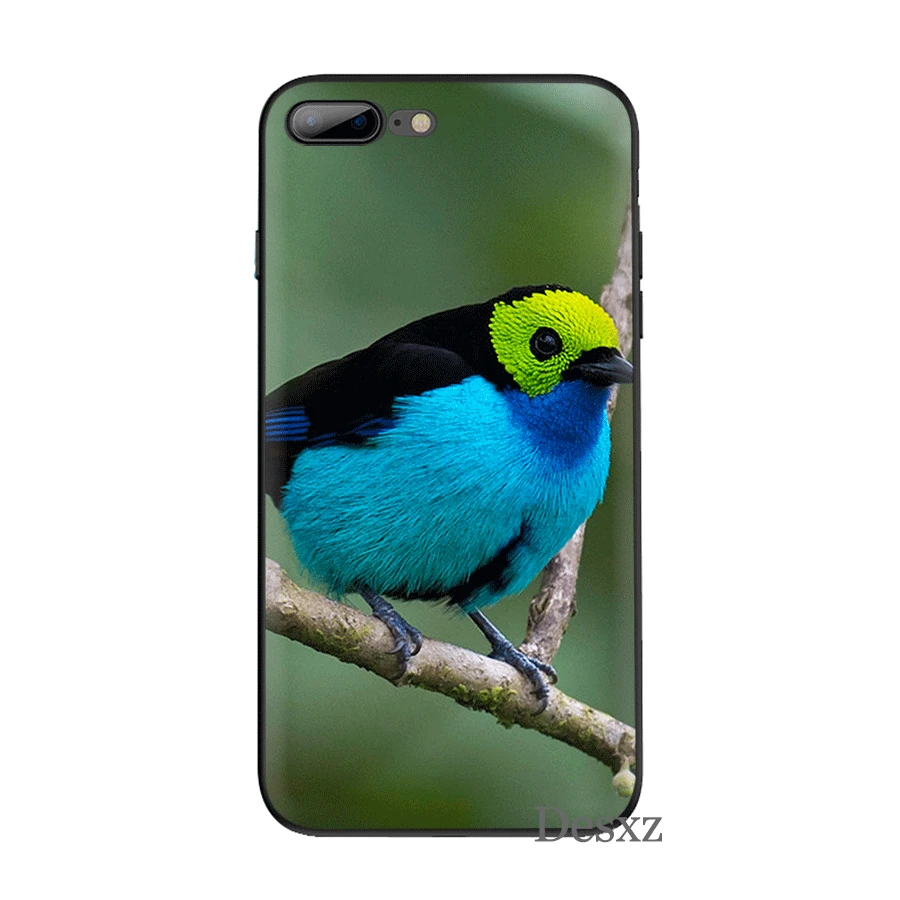 Черный мягкий ТПУ чехол для iPhone 11 Pro 5 5S SE 6 6s 7 8 Plus X XS XR Max|Чехлы-накладки| |
