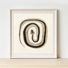 Змеиная кожа декор для стен в винтажном стиле научно-фотоиллюстрация печать плакатов, сепия змея Арт холст картина без рамки в готическом стиле, домашний декор