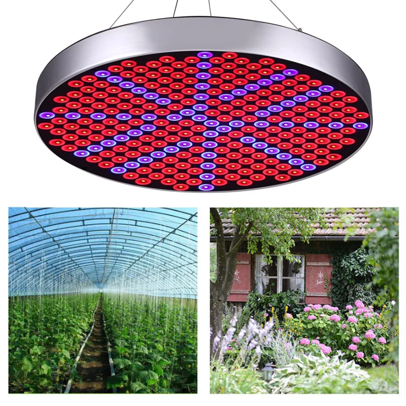 250LED 50 Вт полный спектр лампа для растений Светодиодная выращивания