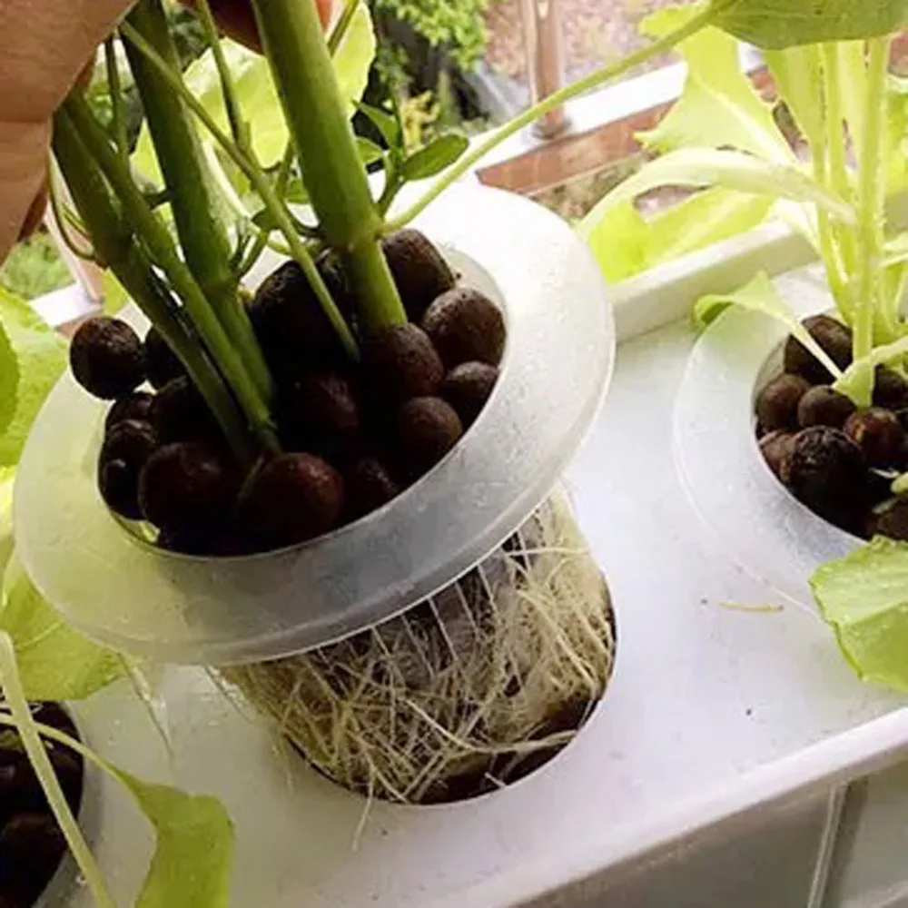 Soilless сетка для посадки чаша гидропонной колонизации сетчатый горшок овощной