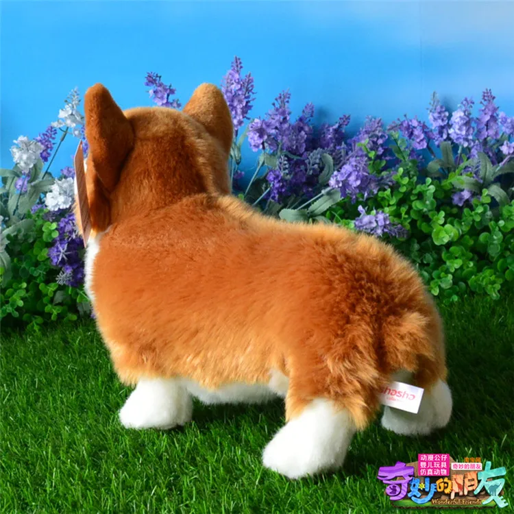 Cute Corgi Dog Plush Toys Simulation Animal Doll Gifts For Children | Игрушки и хобби