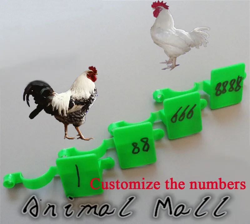 400 шт. куриная нога кольцо голубь птица утка ножка гусиная лапка инструменты для