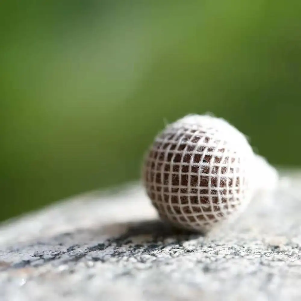 Hd video rus porno HAYVONLAR bilan jinsiy aloqa porno multfilmlar