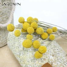 Натуральные сушеные цветы JAROWN золотые шары Вечные для свадьбы