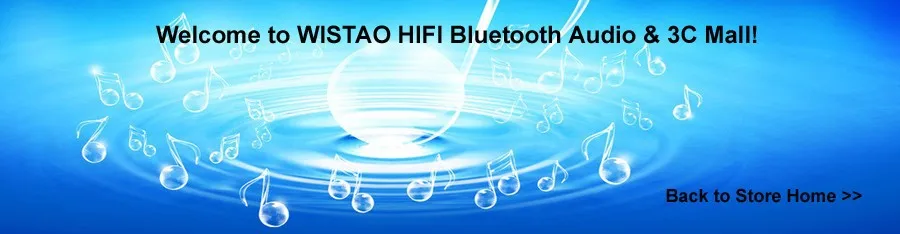 IWISTAO 2x16 Вт HIFI усилитель мощности класса A FET односторонний PassAm весь алюминиевый корпус настольный высокое качество
