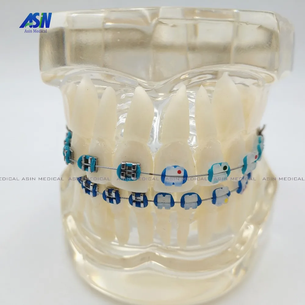 Новое поступление Стоматологическая Ортодонтическая пластина для Typodont зубы