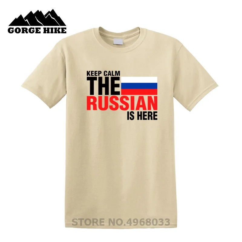 Мужская хлопковая футболка темно-серого цвета с надписью Keep Calm со страхом