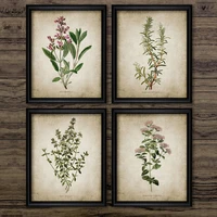 vintage herb art canvas poster and prints oregano rosemary sage thyme canvas painting retro wall pictures home art wall decor