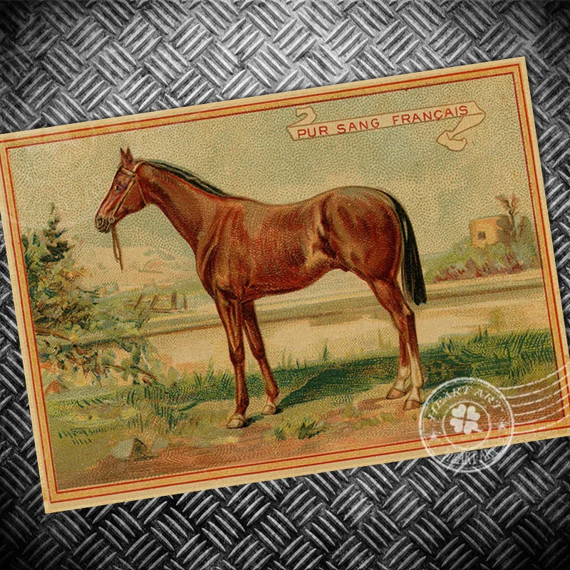 Животное Лошадь ретро-постер к фильму крафт Бумага Винтаж фотографии Бар Паб