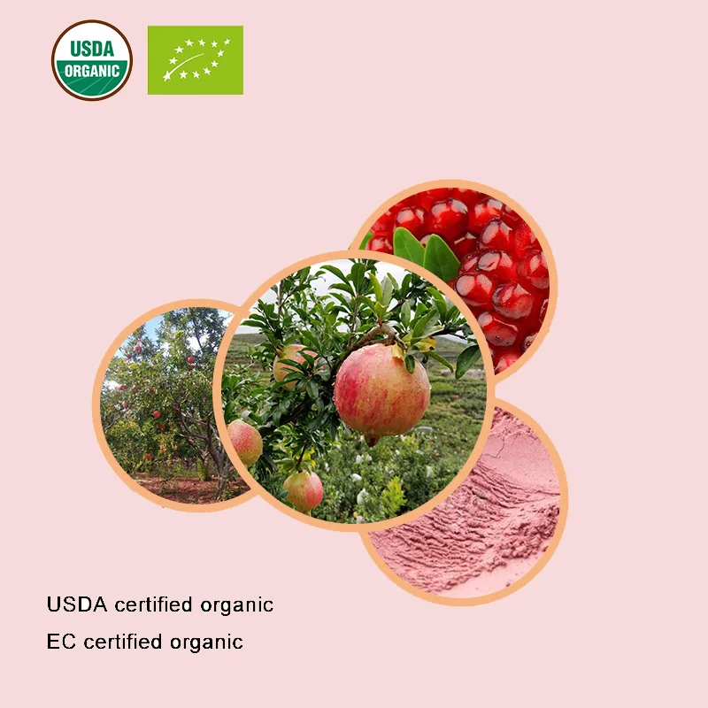 USDA и EC сертифицированный органический порошок гранатового сока