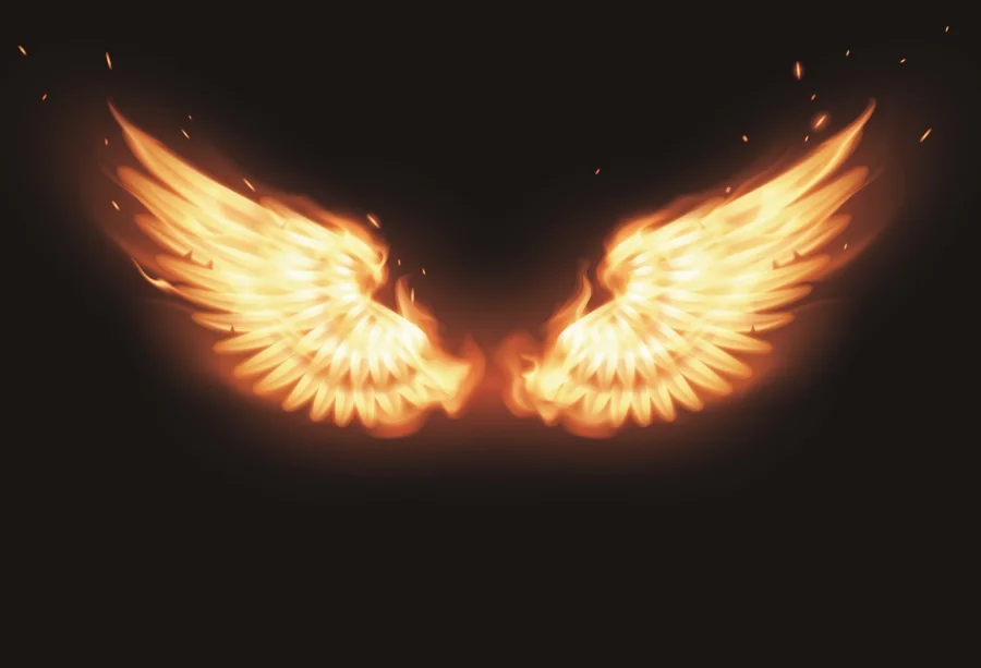 Laeacco Angel Wings Burning Fire Baby Portrait Children Photography Background Customized Photographic Backdrop For Photo Studio