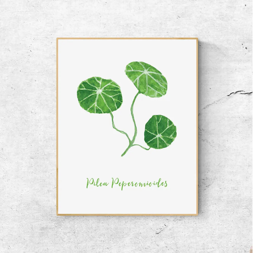 Весна Freen Pilea Peperomioides цветочный принт акварельный рисунок домашний декор