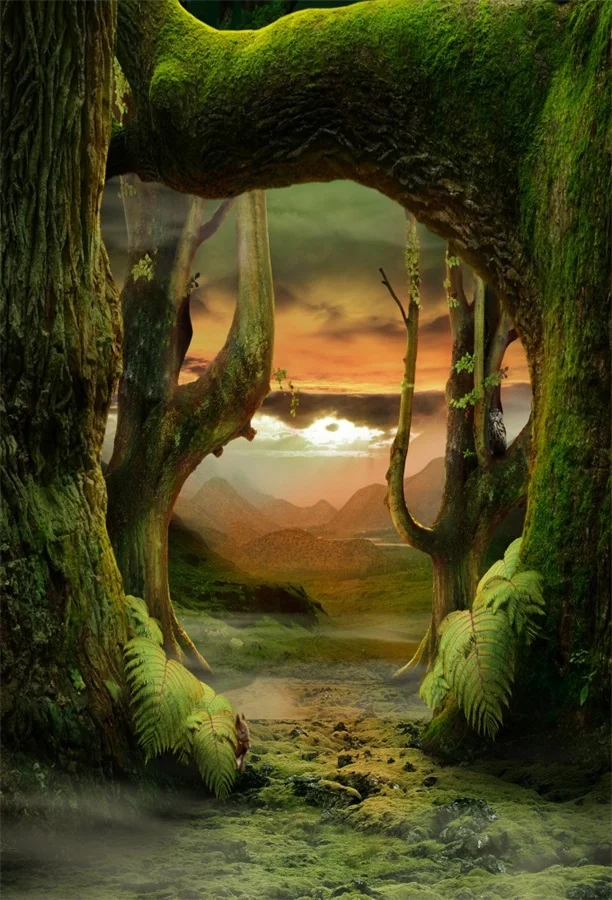 

tropical jungle forest Photography Backdrop Photo Background Quality Vinyl