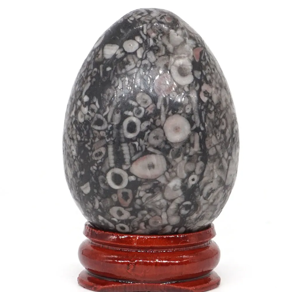 Кристаллический лечебный шар для украшения дома 35*49 мм креноидное Окаменевшее