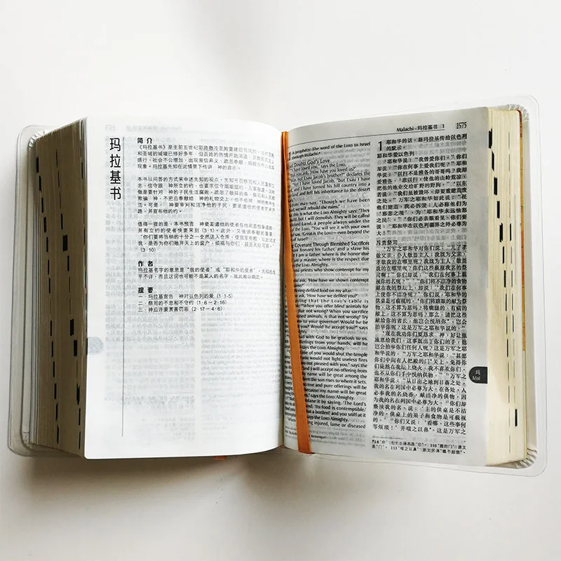 Священная Библейская двуязычная (Переработанная версия китайского союза/Новая
