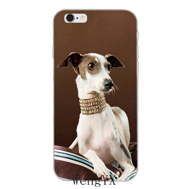 Galgo собака породы борзая Тонкий Ультратонкий Мягкий чехол из ТПУ для телефона чехол для iPhone 4 4S 5 5S 5c SE 6 6s 7 8 plus X XR XS Max - Цвет: Greyhound-Dog-A-11