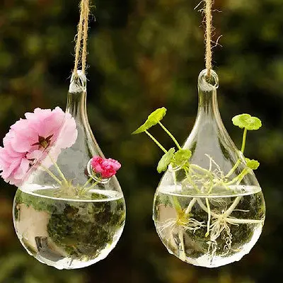 3 вида стилей Новинка Лидер продаж прозрачные Стекло Круглый с 1 отверстие цветок