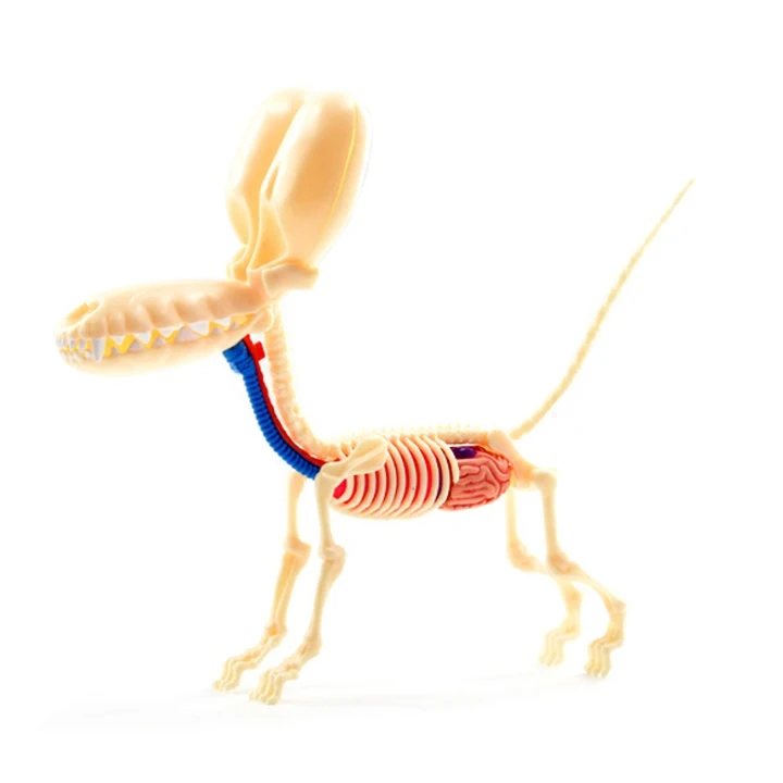 Детские развивающие игрушки сделай сам модель животного 4Dmasters экшн фигурка шарик